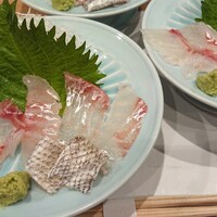 ■真鯛