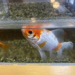 そば処 緑寿庵 - 