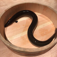 炭焼 うな富士 有楽町店 - 