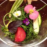 神保町 傳 - ●スペシャリテのサラダ