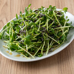 Bean sprout choregi salad