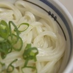 谷川米穀店 - うどん（大）かくだい