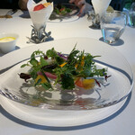 レフェルヴェソンス - 