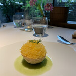 レフェルヴェソンス - 