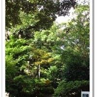 石焼料理 木春堂 - 