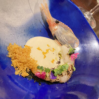 セルサルサーレ - 