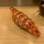 おけい鮨 - 車海老(三河湾)