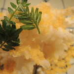 富小路 やま岸 - ＵＰ