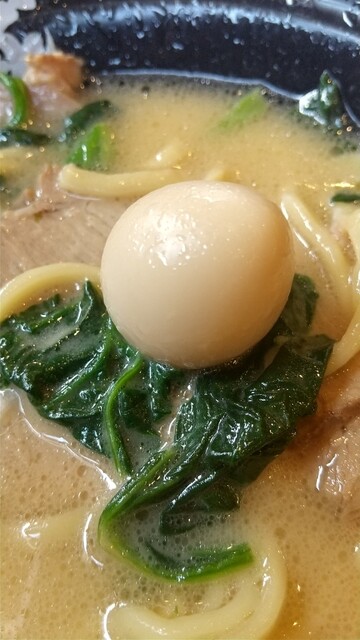 横浜家系ラーメン 万願寺 大和家 甲州街道 ラーメン 食べログ 横浜家系ラーメン 万願寺 大和家 甲州街道 ラーメン 食べログ