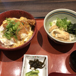 たらいうどん 山のせ - 