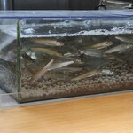 石臼挽き手打 蕎楽亭 - 