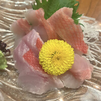 浅草 魚料理 遠州屋 - 「伊豆房州沖の厳選！金目鯛のお造り」1500円