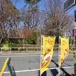 Cafe 豆うさぎ - 目の前は大きな公園