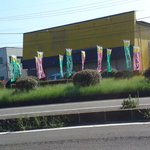 2012,09,13　梨をかいにいぎました