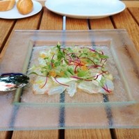 Terrace Dining TANGO - 鳥取 境港直送 鮮魚のカルパッチョ