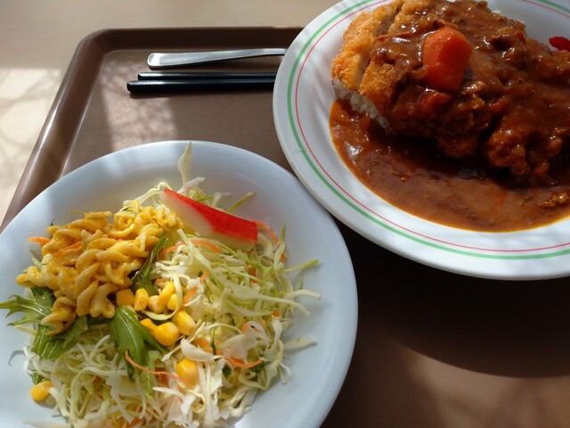 府中自動車運転免許試験場食堂 多磨 定食 食堂 食べログ 府中自動車運転免許試験場食堂 多磨 定食 食堂 食べログ