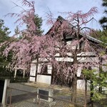 Korisu - 近くの建仁寺