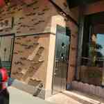 炭火焼肉 火の国 - 