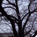 一〇そば - まだ一分だね