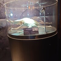 SALONE TOKYO - 