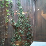 cafe muni - テラスもかわいい
