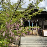 Makudonarudo - 縁結びの木 願いを書いた「さくらのえんむすび花帯」を結んで祈念します