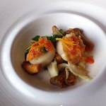 アルトゥーラ - 