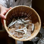 にい留 - 鮎は仮死状態に