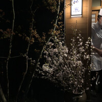 帰燕 - 