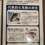 Kappou Machizushi - 横浜卸売市場内の仲卸、「魚勝」さんからも全国の魚を仕入れているようです