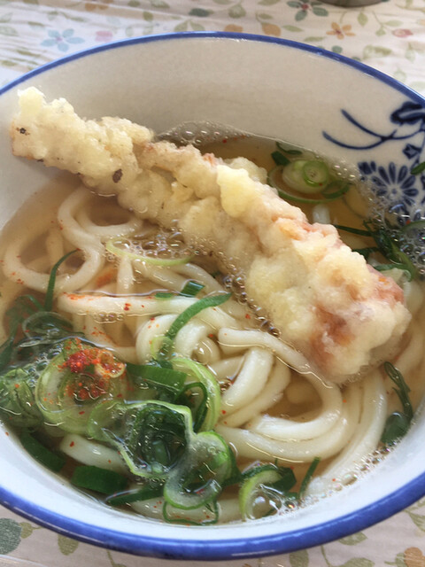 宮川製麺所 みやかわせいめんしょ 善通寺 うどん 食べログ 宮川製麺所 みやかわせいめんしょ 善通寺 うどん 食べログ