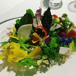 レフェルヴェソンス - 