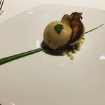 レフェルヴェソンス - 