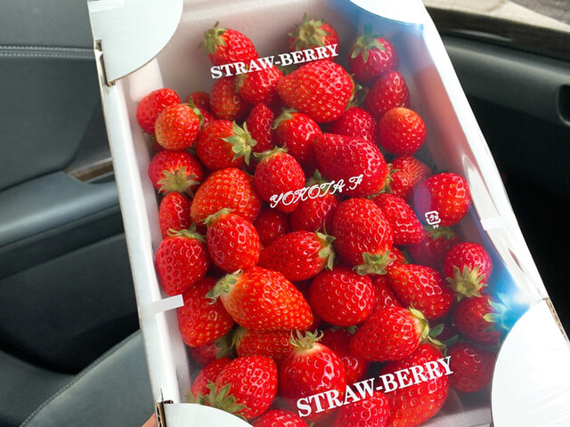 横田農園 - 川東（その他）の写真