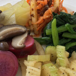 飛行船スタイル 南條 - オードブル5種、上から時計回りにニンジンとリンゴのサラダ、ほうれん草のナムル、セロリの黒胡椒風味、サツマイモのオレンジ風味、春キャベツとしいたけの煮浸し