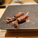 鮨 なんば - 蛍烏賊