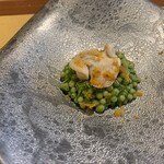 マジカメンテ - 