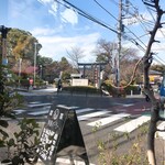 Asahiya Para - 店内からの眺め（目の前が松陰神社！）