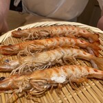 恵比寿 鮨 ふじまさ - 