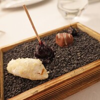 シンジコガ - 土に見立ててあるのは竹炭のパウダー！