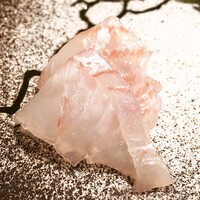鮨 つきうだ - 