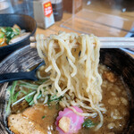 Hiroshima Ramen Hiranoya - さかな豚骨ラーメン（麺アップ）