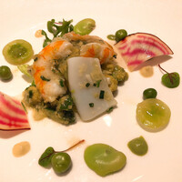 カントニーズ 燕 - 