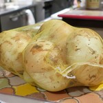 トリワイン ＰＩＫＯＳＨＨＨＵ - 特大な新玉ねぎ