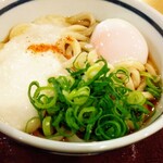 釜揚げうどん　小塚屋 - とろ玉ぶっかけうどん（並）