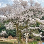 でんがく処 むらせ - 護国桜