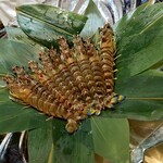 すし丈 - これから握りになる活け車海老