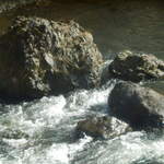 小笠原商店 - すぐ横の橋の上から撮影