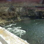 小笠原商店 - 水量多い