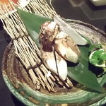 高麗房 - 松茸です
